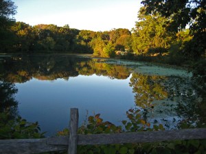 Newton Lake looking west.
