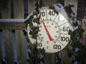 About sixteen degrees, a bit of snow on the leaves.