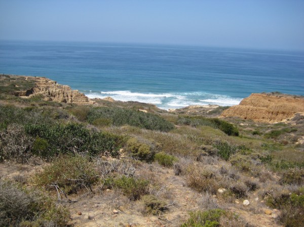 On the trail down to Torrey Pines Beach