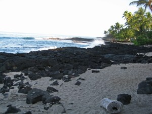 Ocean view while running along the Ali'i Highway