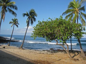 Another beach view along Ali'i Highway
