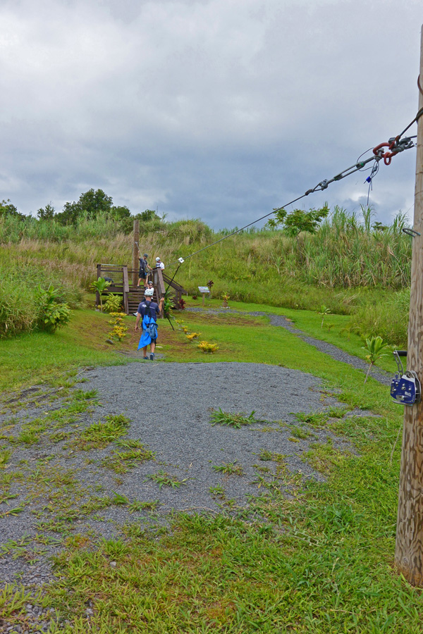 The training zip line, a little zip before moving on to the long ones.
