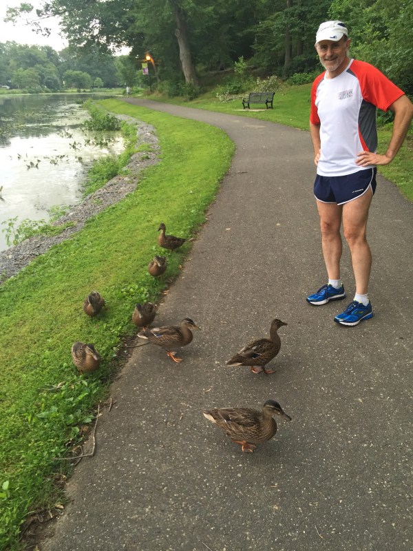 Ducks looking for a handout at Newton Lake Park